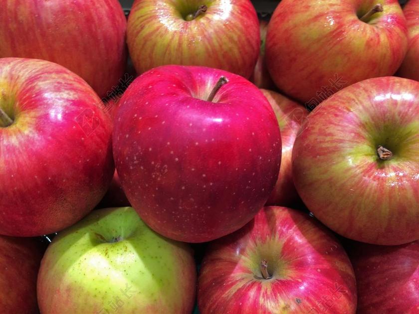 苹果 红色 鹿儿岛 西友百货有限公司 生活 超级市场 水果和蔬菜