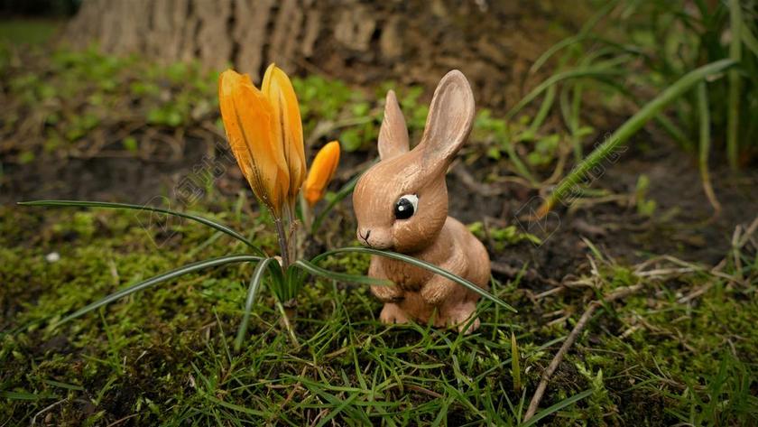 广告时尚复复活节兔子玩具背景图片