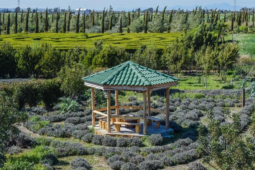 唯美花园里的凉亭背景图片