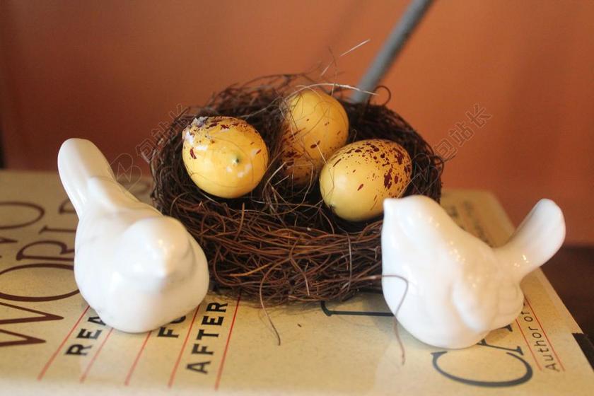 艺术篮子里的鸽子蛋背景图片