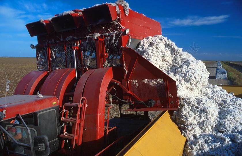 棉花收获机 农业 农场 农村 天空 云 自然 目睹 原野