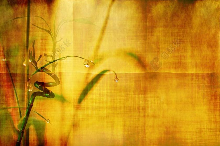 古老陈旧纹理背景图滴水植物背景图片