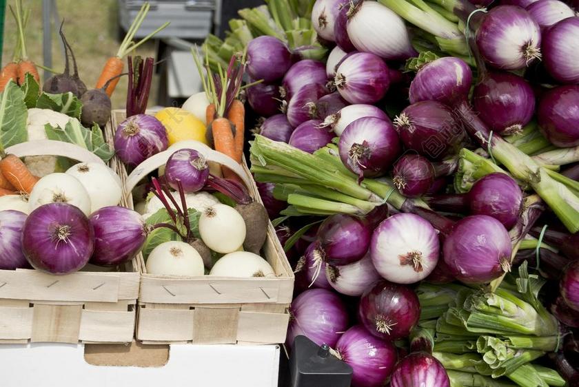 食物蔬菜丰富洋葱胡萝卜等食材蔬菜食物背景图片