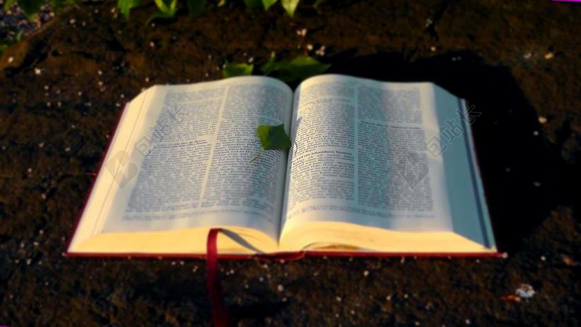圣经 》 圣 本书 基督教 神的话语 信仰 相信 耶稣 阅读