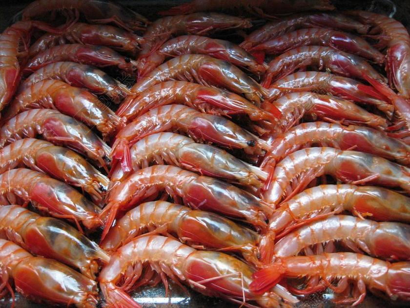 烤大虾 大虾 食品 海鲜 传播 西班牙美食 红色的