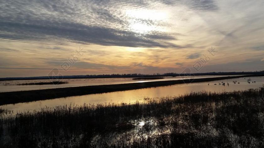 日落自然景观芦苇草地背景图片
