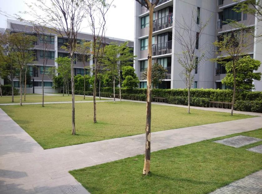 绿色空间城市建筑教育学校居民楼背景图片