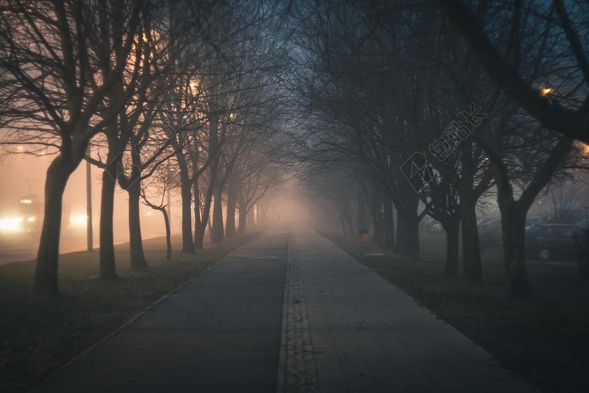 城市 人行道 街 小船 雾 朦朦胧胧 波兰 树 公园 光