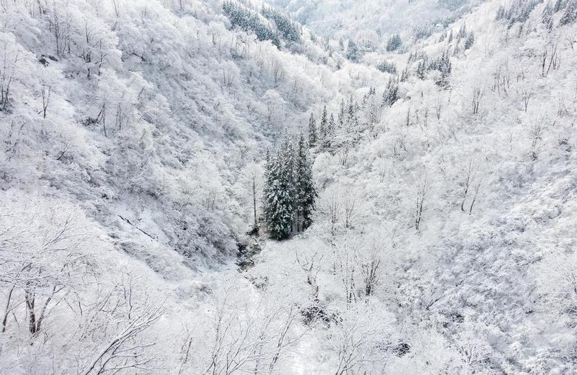 冬季景观白色雪山雪景背景图片