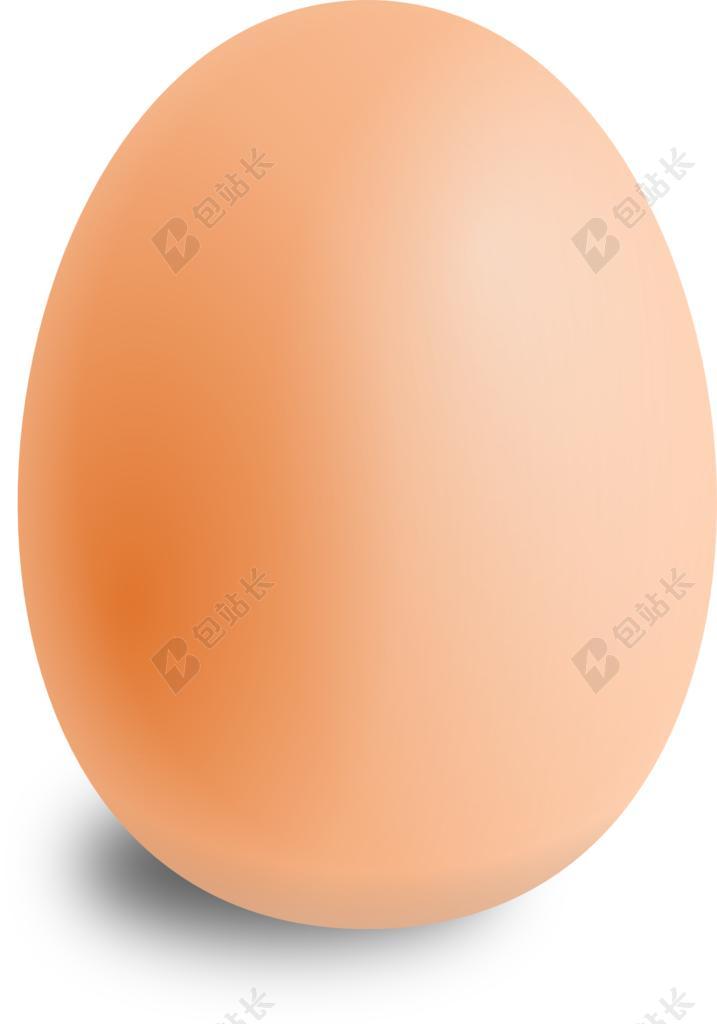 鸡蛋 椭圆形 食品 圆
