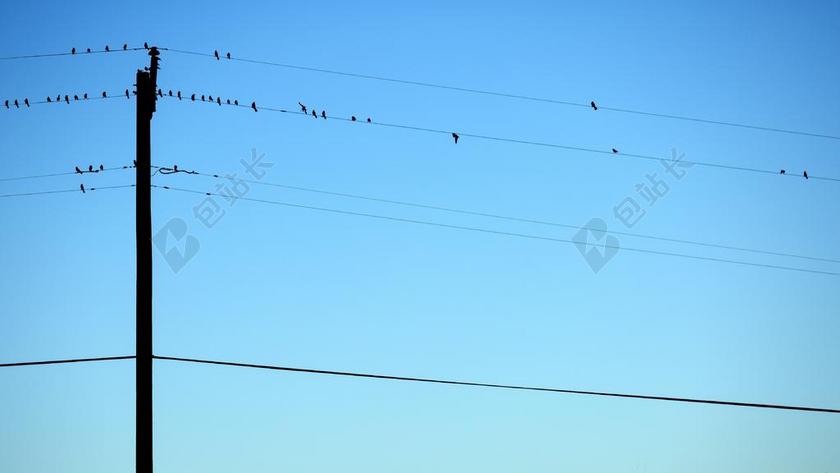 天空鸟群停留在电线杆上背景图片