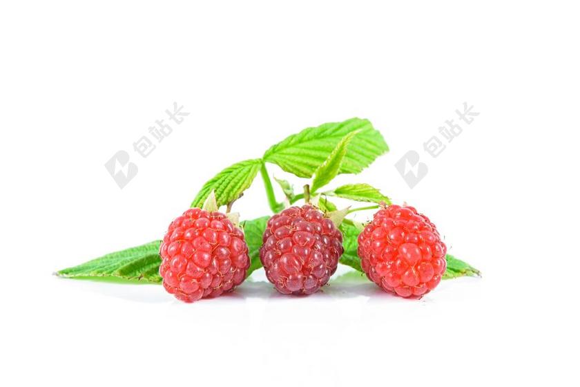 成熟覆盆子 水果 红色 精益生产 美味的食谱 花园 水果园