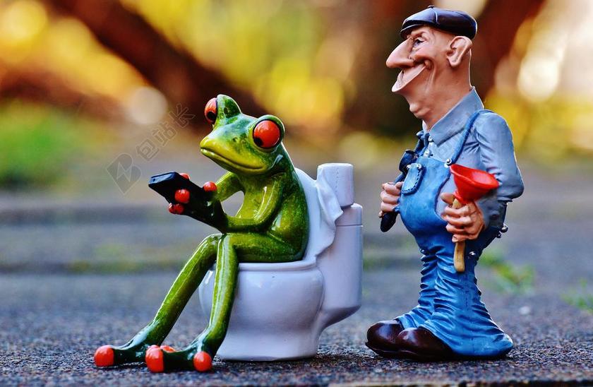 水管工 青蛙 厕所 修复 会议 受阻 便秘