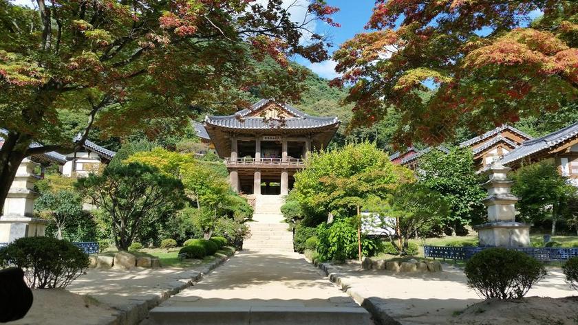 韩国 永久居留 浮石寺 节 寺 景观 七彩 木材 花园
