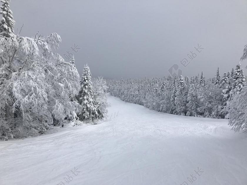 雪 滑雪 山 冬天 加拿大 首脑会议 白 性质