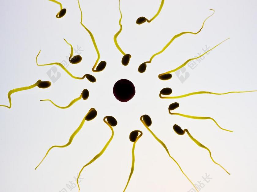 科技简约精子背景图片
