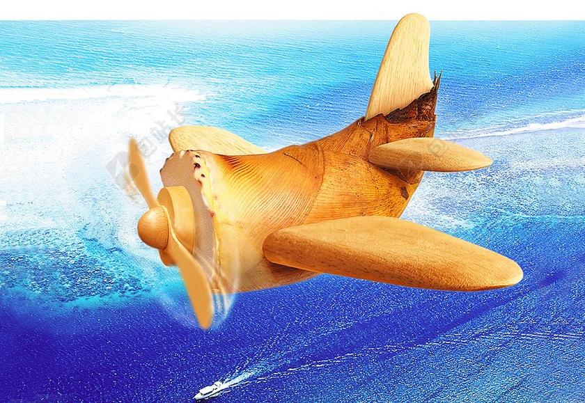 蔬菜 竹笋 飞机