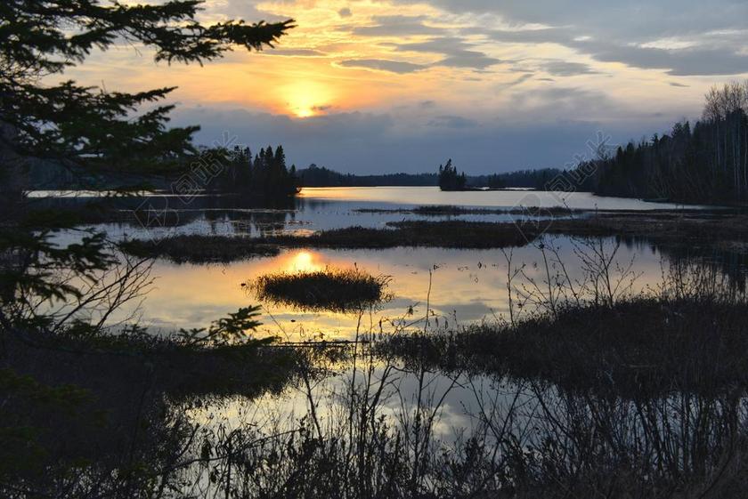 日落 性质 沼泽 太阳 晚上 景观 夏光 暮光之城 湖