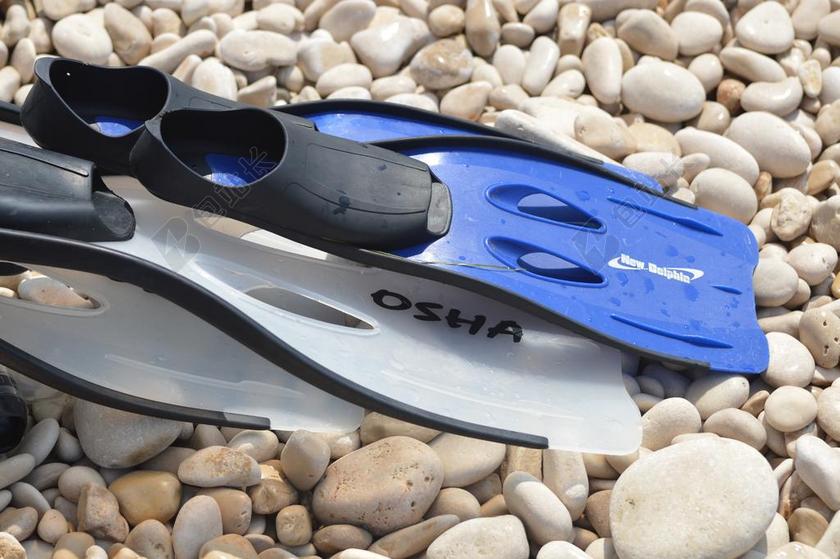 脚蹼 跳水 浮潜 水上运动