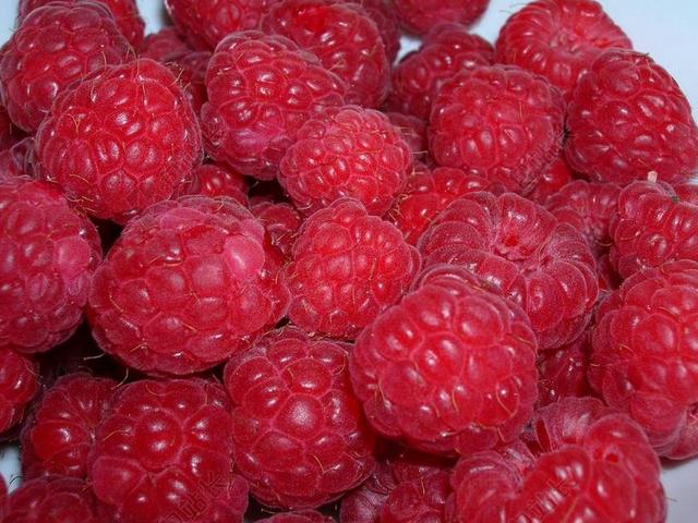 树莓 红色 浆果 甜 水果