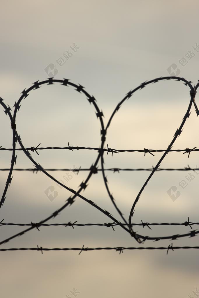 心 形状 爱情 穗状花序 带刺铁丝网 情绪 感情 符号 日落