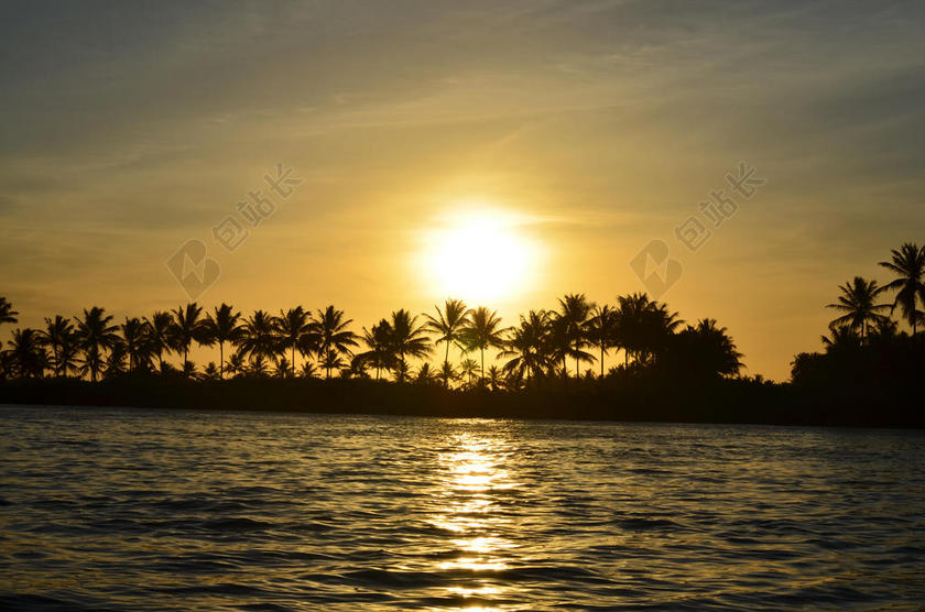 金色的夕阳和海岛椰林背景图片