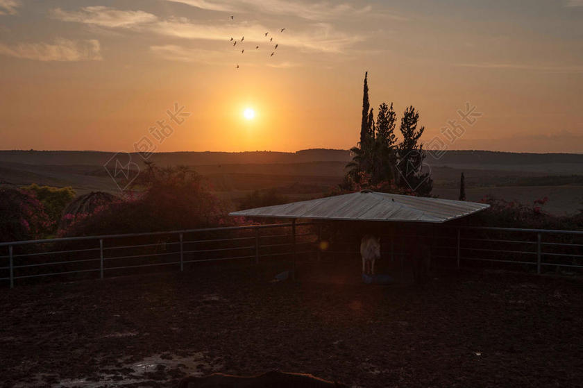 黄色旅游简约太阳傍晚余晖云层草地泥土背景图片
