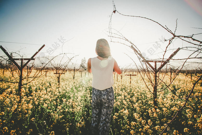 黄色花海里的女人背景图片