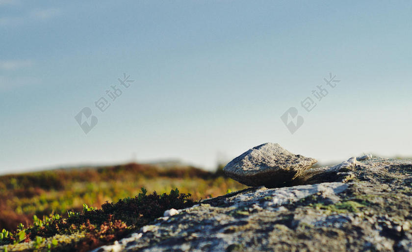 自然粗糙的岩石和苔藓背景图片