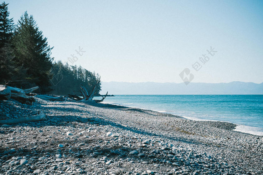 自然森林边的海滩背景图片