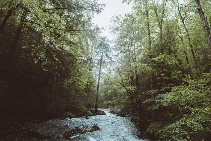 绿白自然清新树林深处的流水山野山水自然背景图片
