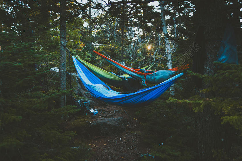 彩色休闲创意挂在树间的吊床休闲放松户外背景图片