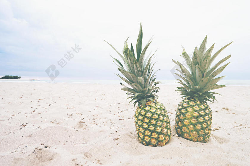白色沙子上绿色的菠萝背景图片