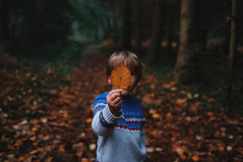 秋天拿枯叶的男孩背景图片
