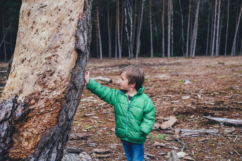 广告时尚树林里游玩的孩子背景图片