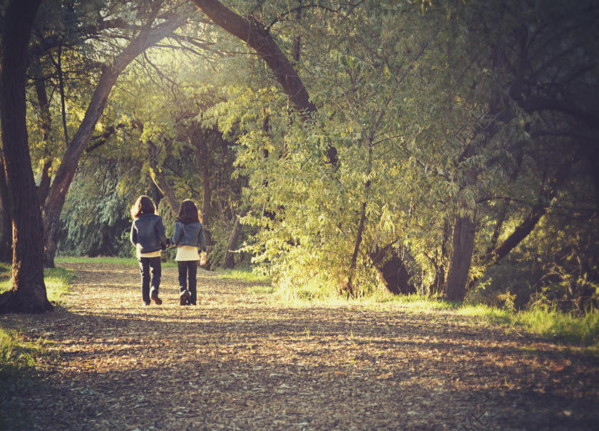 清晨树林里散步的女孩背景图片