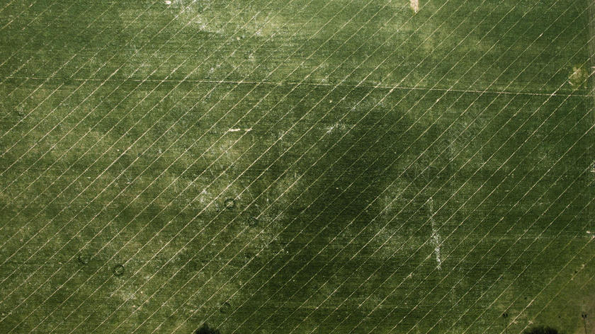 纹理绿色的条纹表面背景图片