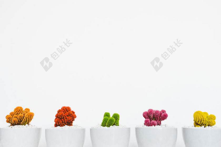 广告清新时尚盆栽背景图片