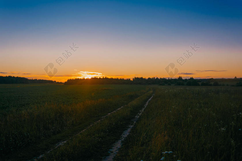 农业 乡村 黎明 黄昏 环境 领域 森林 草 HD 壁纸 田园 景观 母亲 自然 自然 在户外 风景 风景 天空 太阳 日出 日落 宁静 旅行 树 伍兹
