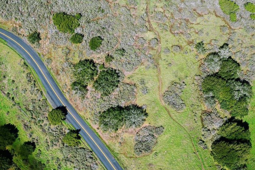 摘要 沥青 背景 颜色 无人机 凸轮 从 在上面 地理 指导 公路 土地 景观 自然 在户外 路面 复古的 路 粗糙的 土壤 表面 纹理 顶部 看法 地形 旅行 树 植被