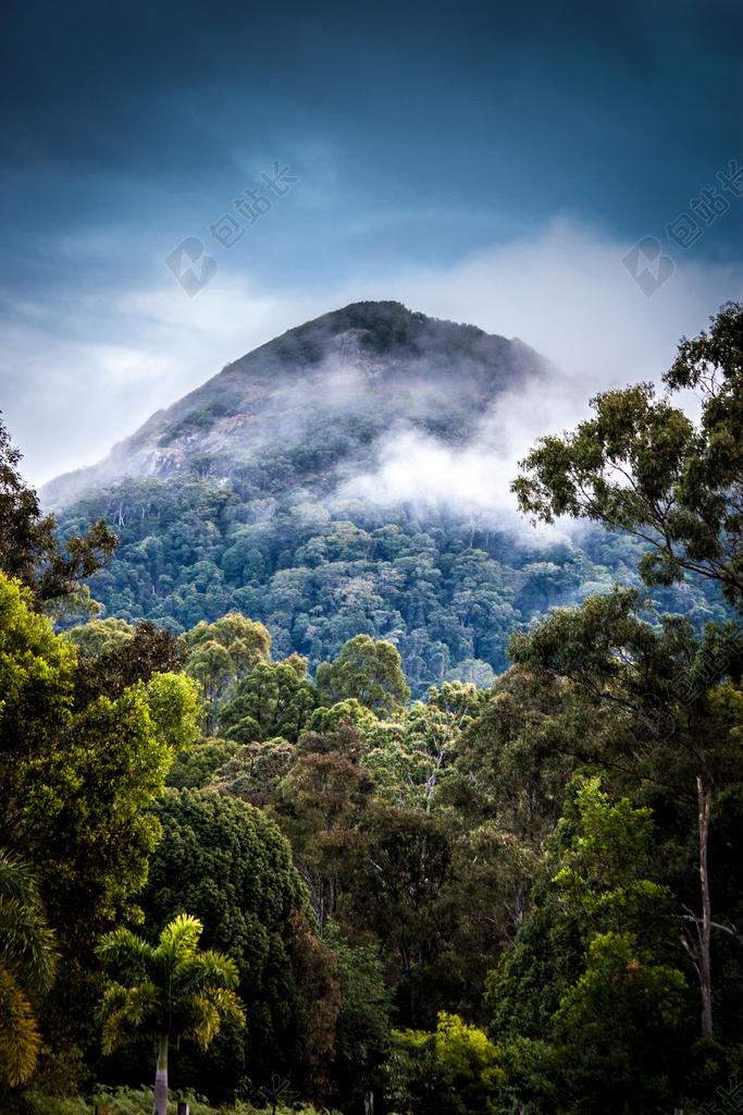 美丽的 云 日光 雾 雾 森林 朦胧 小山 景观 山 自然 在户外 雨林 风景 夏天 旅游 旅行 树 热带的 山谷 伍兹