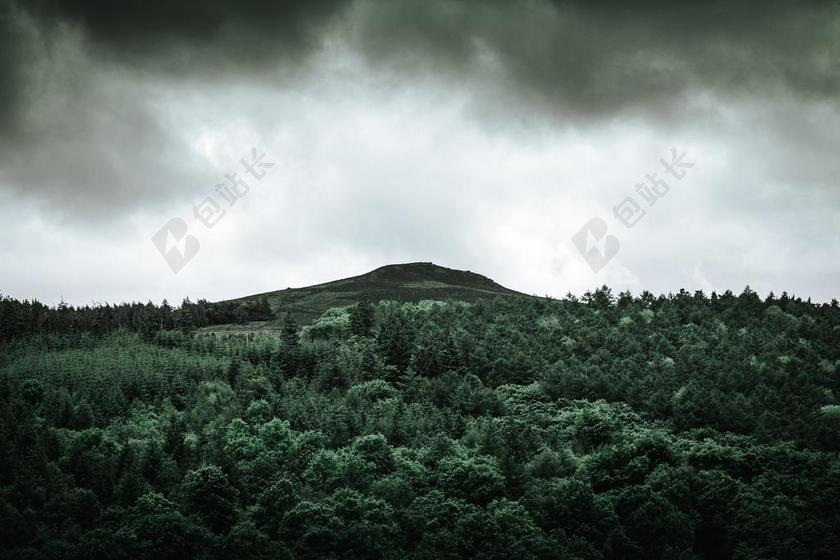 商务 商人 电子商务 股票交易所 业务 工作 风景 风光 美景 田园 山水 地球 泥土 草地 操场 山 山峰 顶峰 景色 树木 丛林 森林 天空 草地 草坪 草丛 清新 新鲜 云 云朵 天空 树 树木 树林 森林
