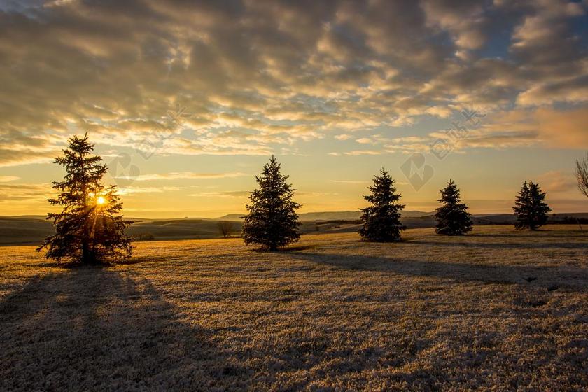 星空 太空 空间 风景 风光 美景 田园 山水 日落 夕阳 太阳 冬季 冬天 新年 树木 丛林 森林 云 云朵 天空 树 树木 树林 森林