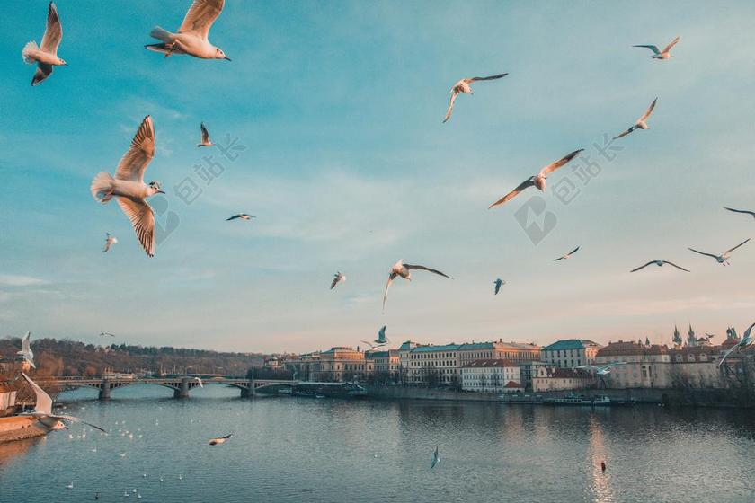 城市 都市 时尚 现代化 风景 风光 美景 田园 山水 朋友 友谊 友情 天空 写字 文章 书籍 动物 云 云朵 天空 自然 环境 雨 下雨 惬意 建筑 结构 建筑物 建筑学