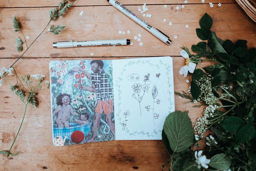 桌子上的绿色的树叶和插画背景图片