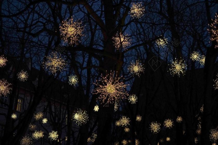 夜晚树林里的彩灯背景图片
