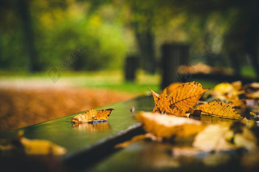风景 风光 美景 田园 山水 房间 卧室 家 休闲 家居 秋天 秋日 自然 环境 树 树木 树林 森林