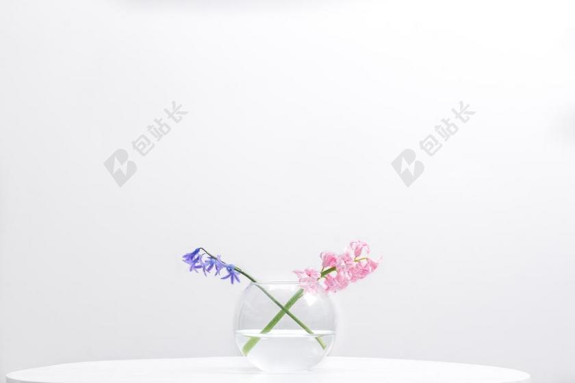 玻璃鱼缸里的鲜花背景图片