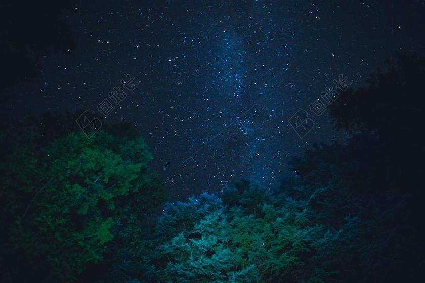 星空下绿色的大树背景图片
