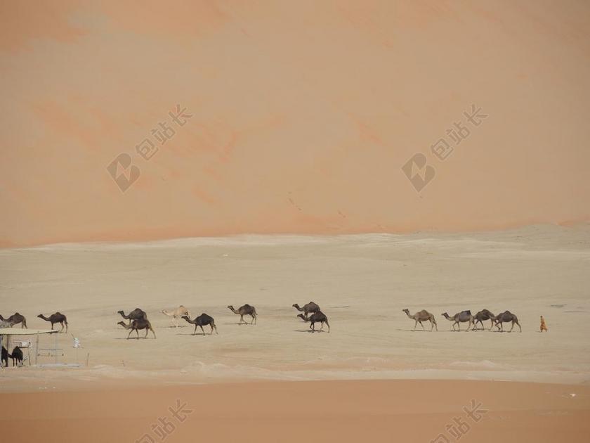 太空 空间 风景 风光 美景 田园 山水 夜晚 晚上 黑夜 黑暗 灯光 霓虹灯 农场 农田 庄园 动物 自然 环境